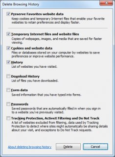 Internet Explorer delete browsing history